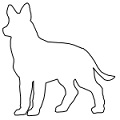Blocos com 29 tipos diferentes de animais.