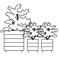 Bloco com plantas em vista.