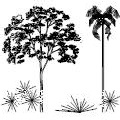 Biblioteca de 105 blocos com &aacute;rvores, arbustos, cercas-viva e plantas.