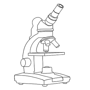 Microscope in perspective.