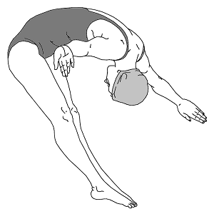 Female ornamental jump.