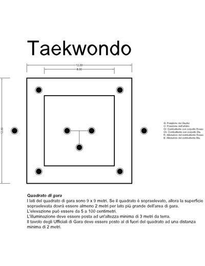 Tatami for taekwondo fights (tae kwon do, taekwon-do).
