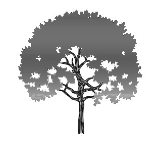 Vegeta&ccedil;&atilde;o em vista, 19.